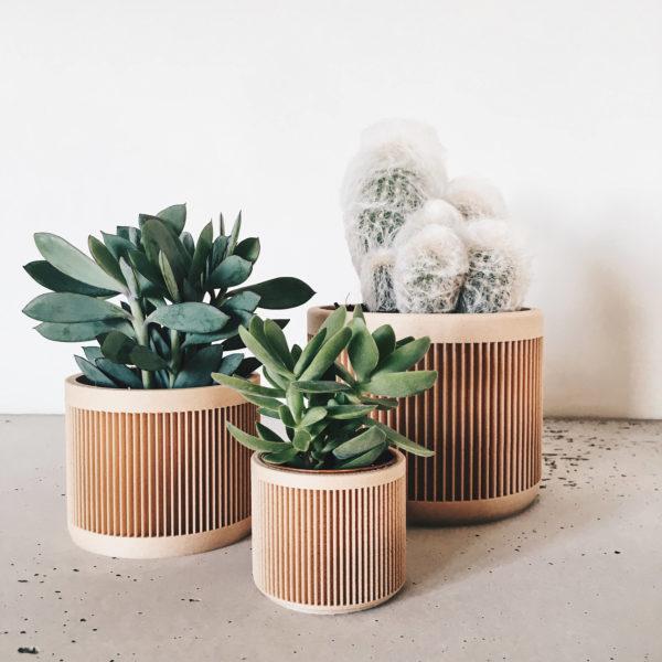 pot cache pot imprime en bois design minimaliste geometrique planter cache pot succulente cactus leonie et france collection