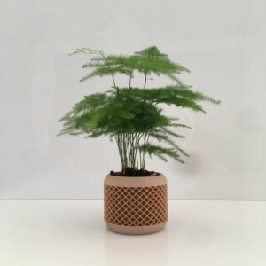 petit cache pot design bois naturel forme croix ecoresponsable bioplastique leonie et france eshop de createur