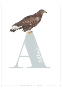 affiche personnalisable prenom imprime aquarelle oiseau aigle leonie et france eshop