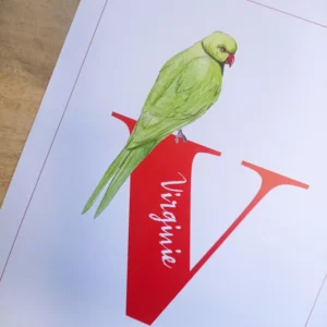 affiche personnalisable prenom imprime aquarelle oiseau perruche leonie et france eshop