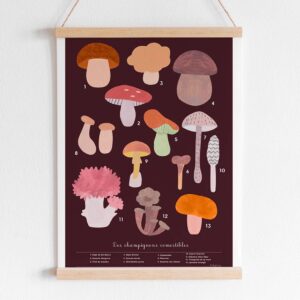 affiche poster pedagogique champignons comestibles deco chambre enfant leonie et france boutique maison