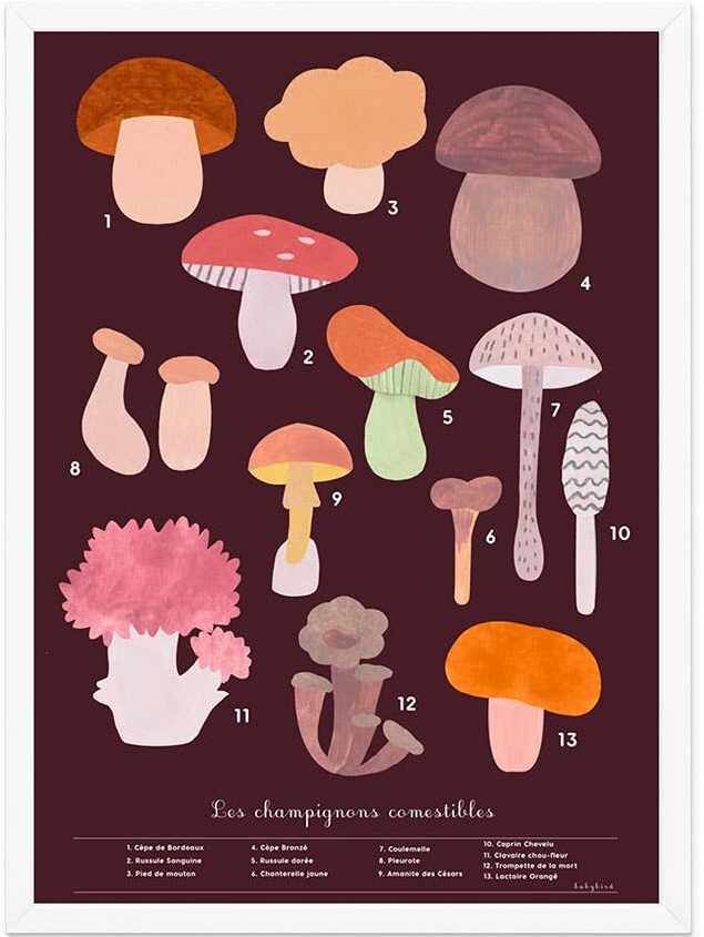 affiche poster pedagogique champignons comestibles deco chambre enfant leonie et france boutique mode et maison