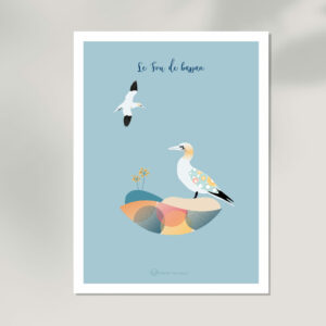 affiche illustration mer animal oiseau fou de bassan deco design leonie et france eshop de createurs francais deco maison