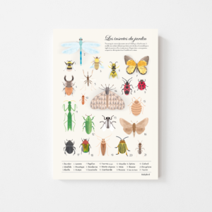 babybird affiche des insectes