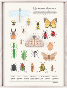 affiche des insectes du jardin